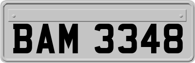 BAM3348