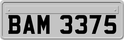 BAM3375