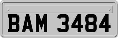 BAM3484