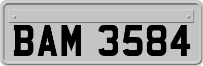 BAM3584