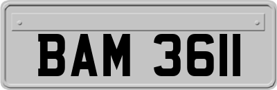 BAM3611