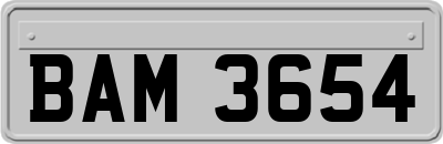 BAM3654