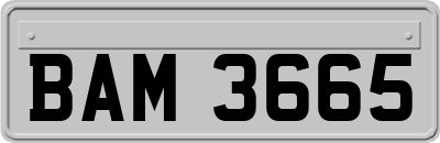 BAM3665