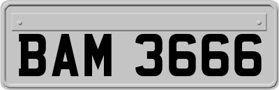 BAM3666