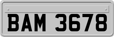 BAM3678