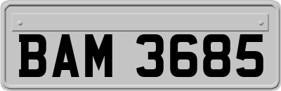 BAM3685