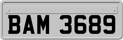BAM3689