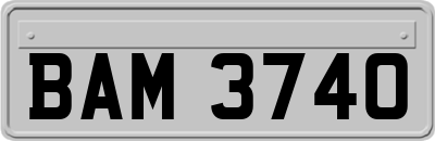 BAM3740