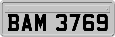 BAM3769