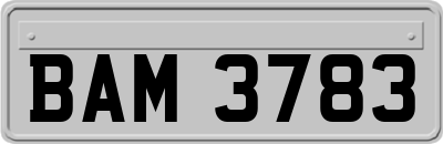 BAM3783