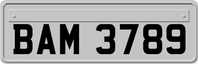 BAM3789