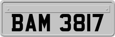 BAM3817