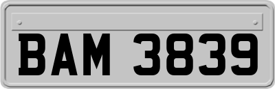 BAM3839