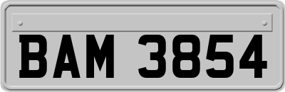 BAM3854
