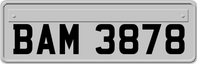 BAM3878