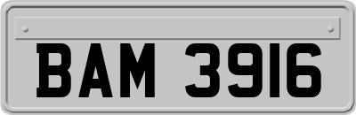 BAM3916