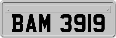 BAM3919