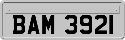 BAM3921