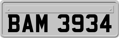 BAM3934