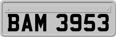 BAM3953