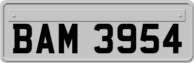 BAM3954
