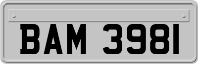 BAM3981