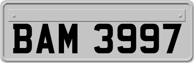 BAM3997