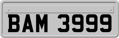 BAM3999