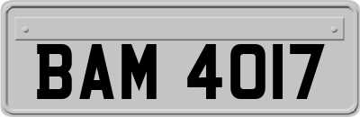 BAM4017