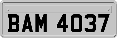 BAM4037