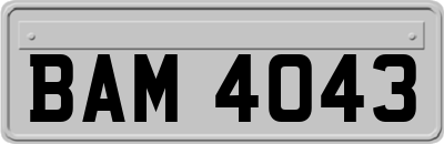 BAM4043