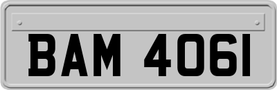 BAM4061