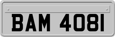 BAM4081