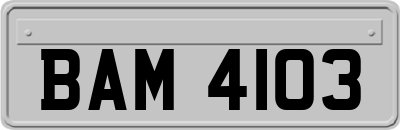 BAM4103