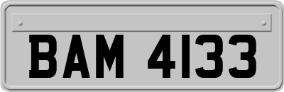 BAM4133