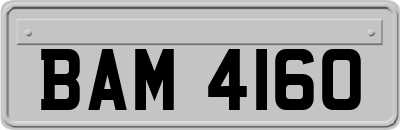 BAM4160