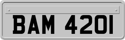 BAM4201