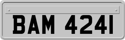BAM4241