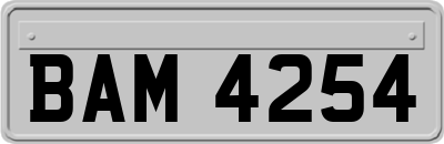 BAM4254