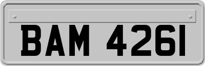 BAM4261