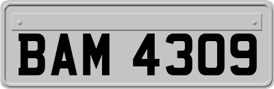 BAM4309
