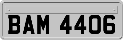 BAM4406