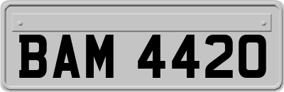 BAM4420