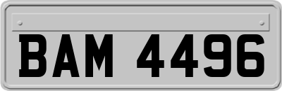 BAM4496