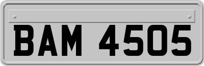 BAM4505