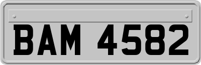 BAM4582