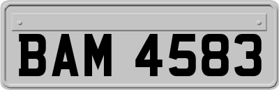 BAM4583