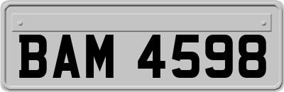 BAM4598