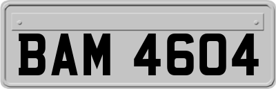 BAM4604