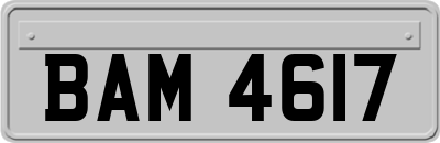 BAM4617